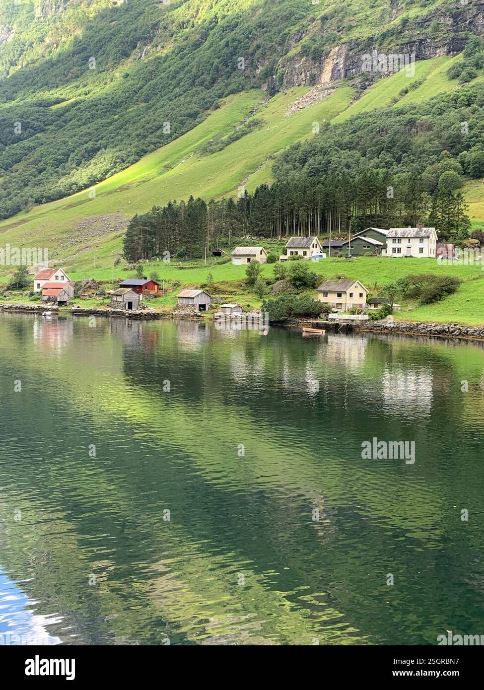 Vista della gloriosa campagna norvegese da una crociera lungo un fiordo. L'estate in Norvegia è da non perdere. Foto Stock