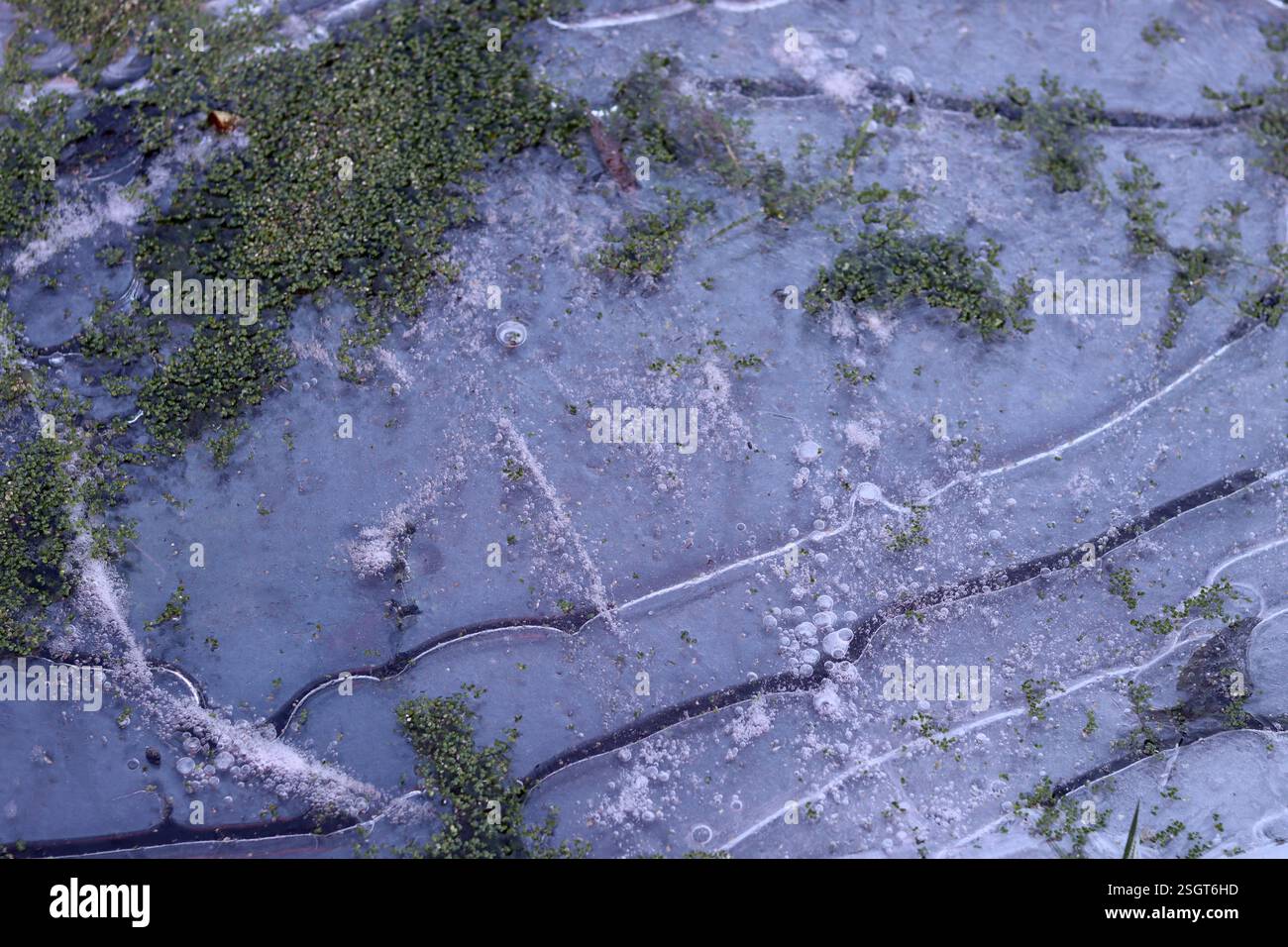 Stagno ghiacciato in inverno, primo piano della consistenza Foto Stock