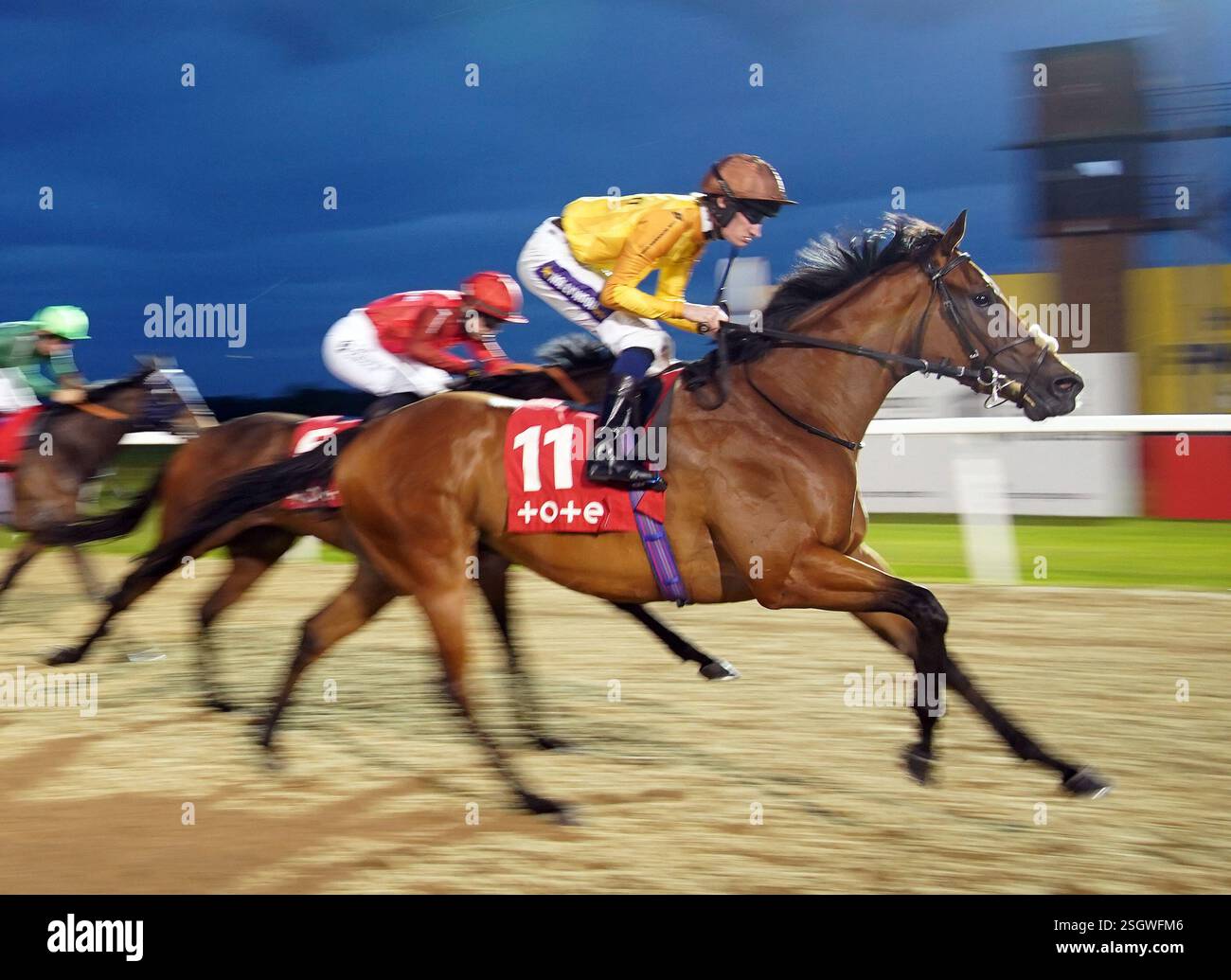 Foto del file datata 22-08-2024 di Heathcliff, che ha attirato l'attenzione sulla sua ultima uscita e che ha voglia di basarsi su questo nella scommessa gratuita con il Betbuilder Rebound handicap di Unibet a Kempton. Data di pubblicazione: Lunedì 10 febbraio 2025. Foto Stock