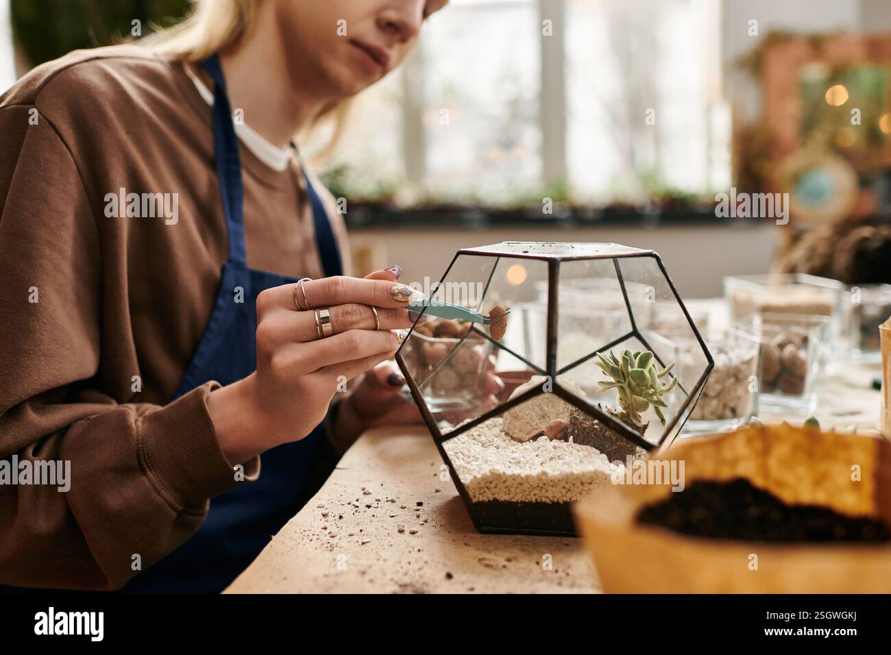 I partecipanti creano terrari succulenti unici mentre si godono le piante. Foto Stock
