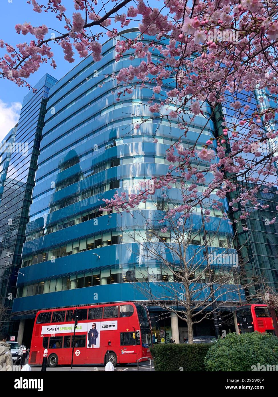 Edificio scintillante con fiori primaverili Foto Stock