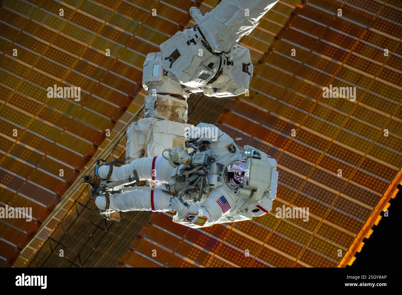 ISS - 30 gennaio 2025 - l'astronauta della NASA e il comandante della spedizione 72 Suni Williams è attaccato al braccio robotico Canadarm2 che si aggancia all'effettore finale del braccio robotico Foto Stock