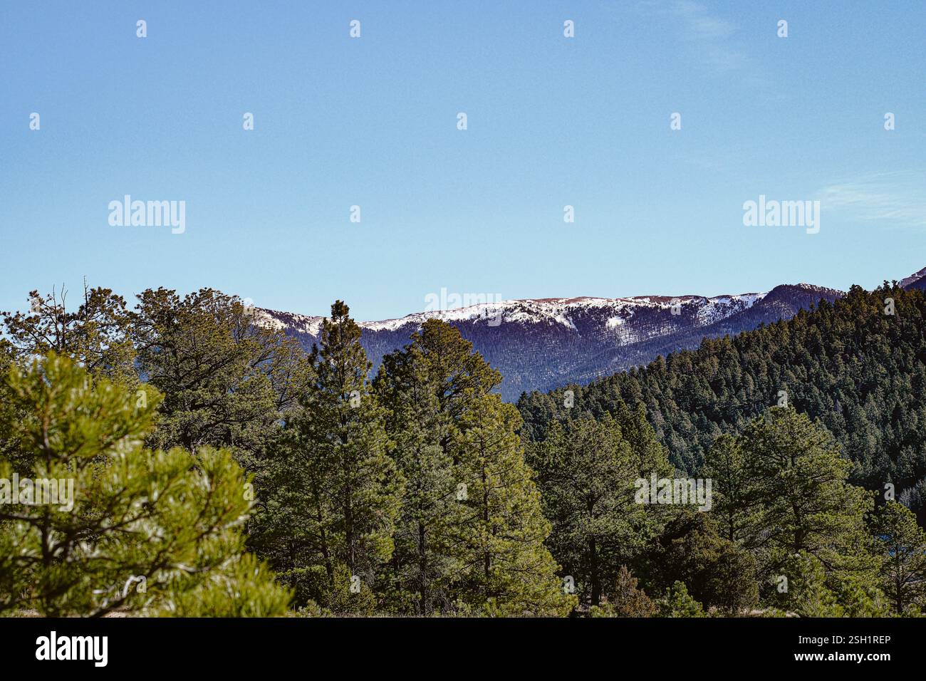 Panoramica catena montuosa con foreste Evergreen e vette innevate Foto Stock