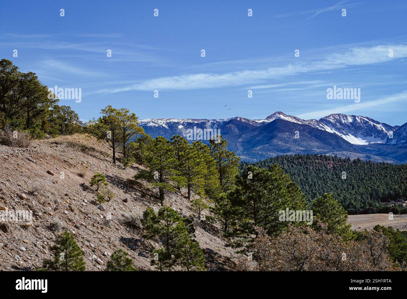 Paesaggio montano con fitte foreste e vette innevate Foto Stock