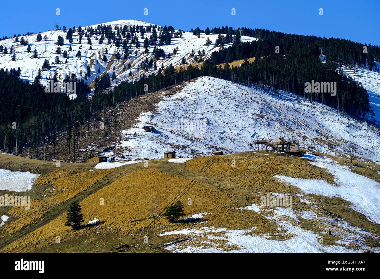 Colline innevate con alberi Evergreen sotto un cielo azzurro Foto Stock