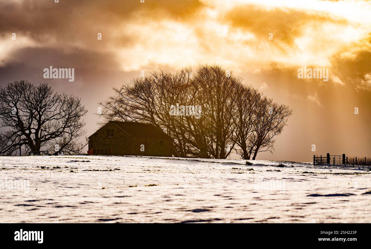 Scene di neve da Chipping, vicino Preston, Lancashire, Regno Unito. Foto Stock