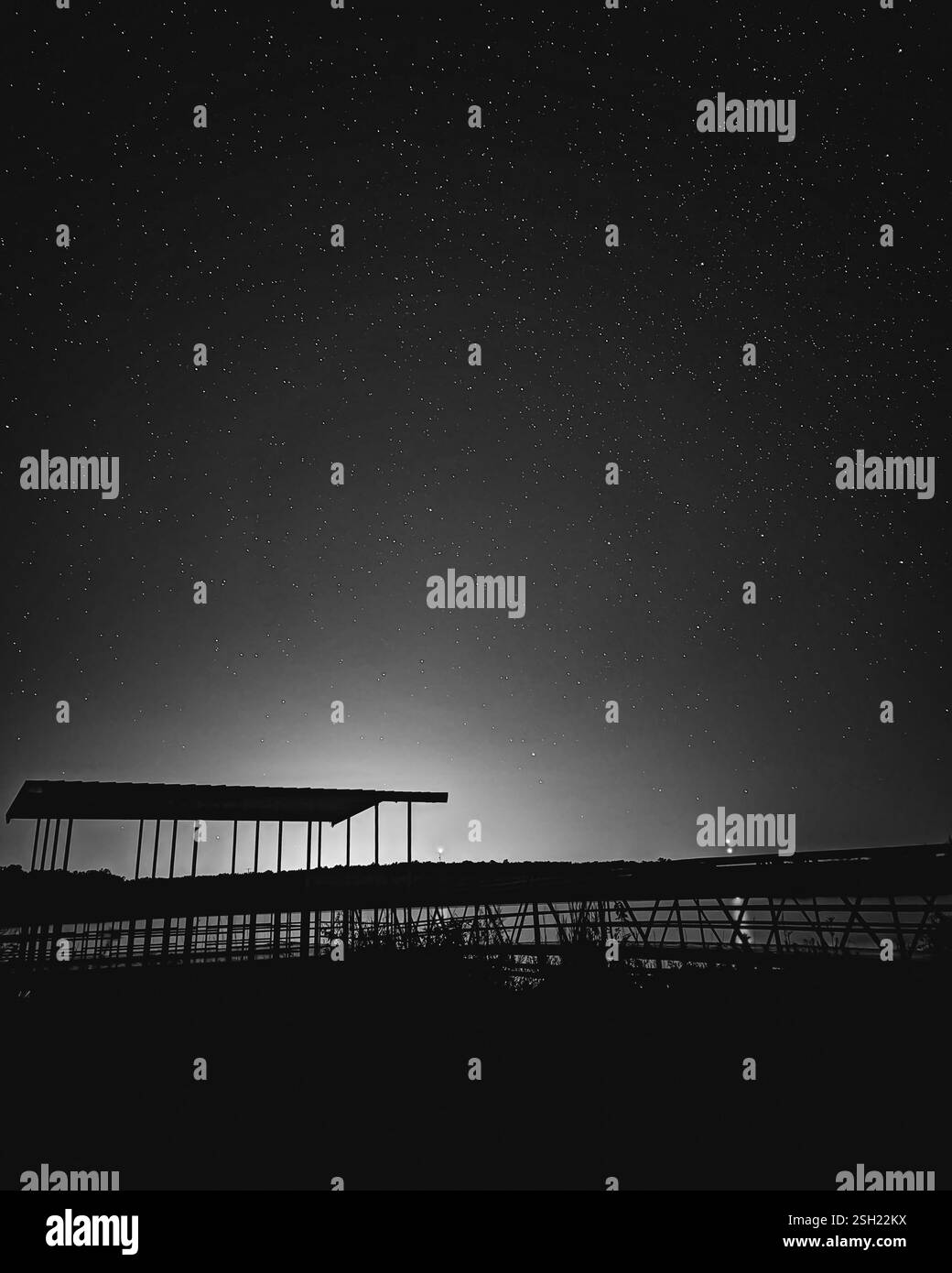 Cielo stellato notturno sull'ippodromo illuminato Foto Stock