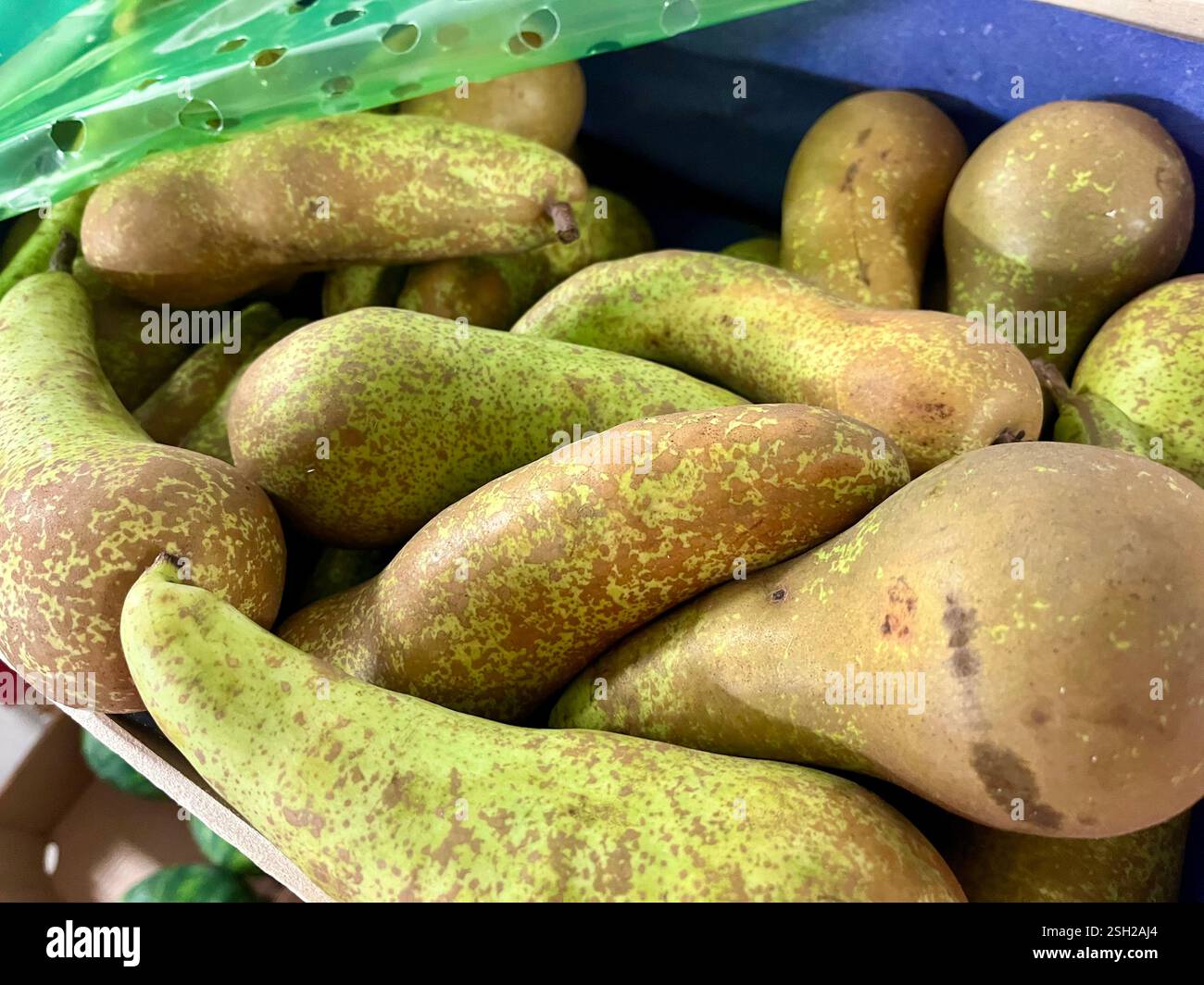 Pere da conferenza, pere, frutta, magazzino, stoccaggio, produzione, agricoltura, approvvigionamento alimentare, logistica, stoccaggio della frutta, distribuzione, catena di approvvigionamento - Immagine stock catturata con smartphone