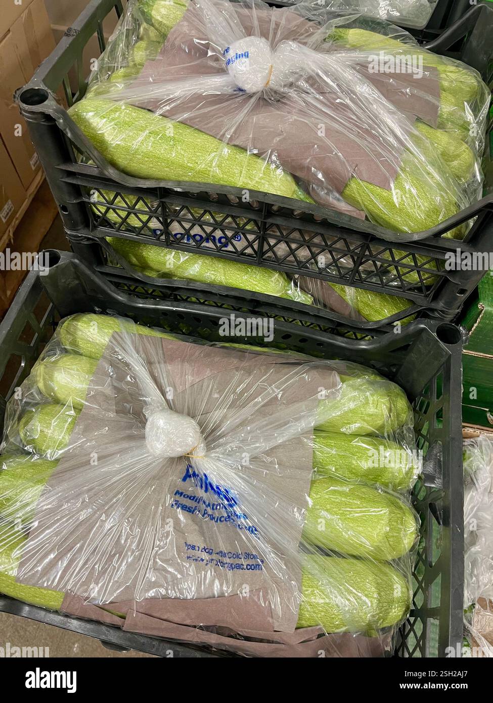 zucchine, zucchine, involucro in plastica, verdure, magazzino, stoccaggio, casse di plastica, agricoltura, approvvigionamento alimentare, stoccaggio di verdure, distribuzione - Immagine stock catturata con smartphone