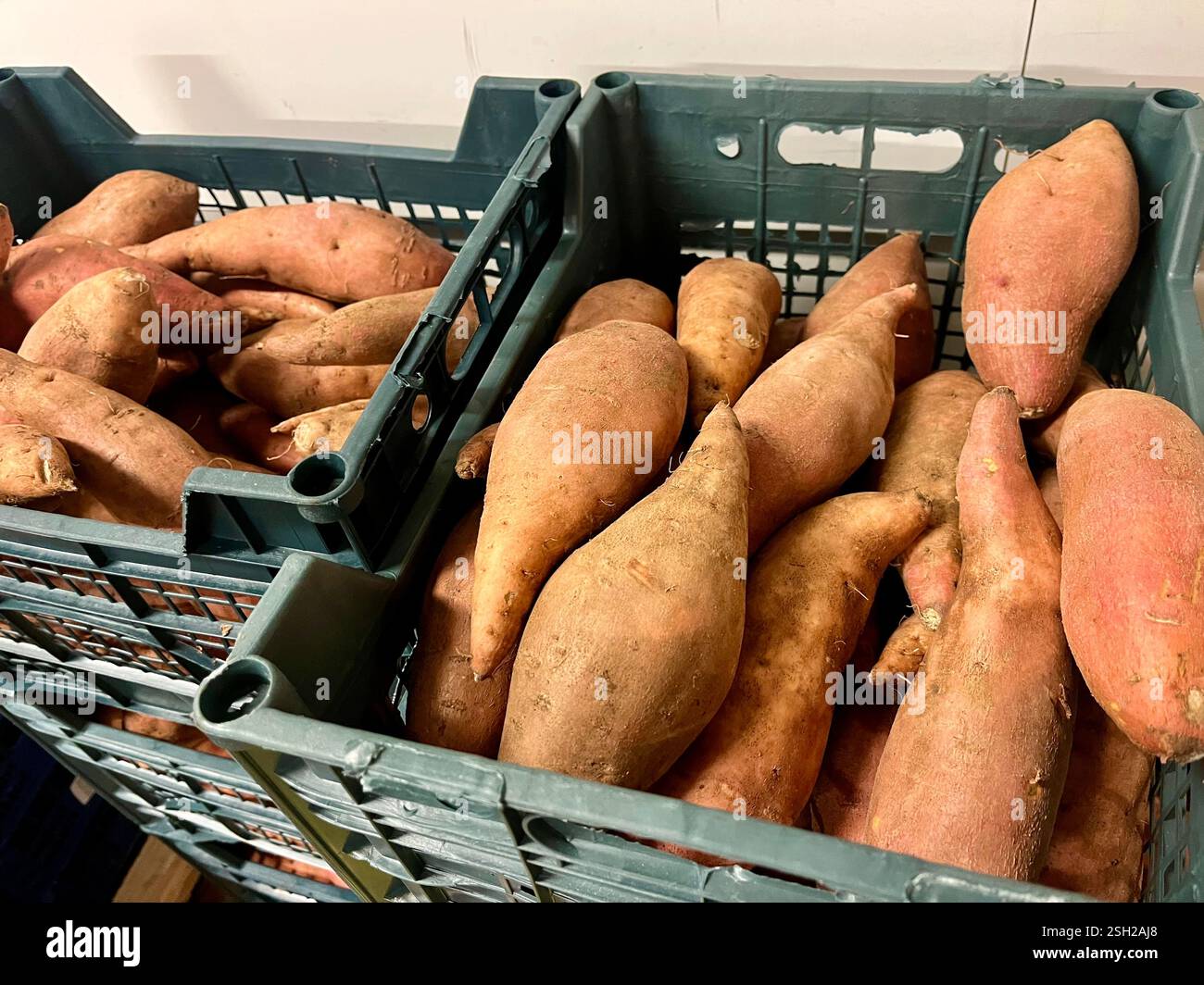 patate dolci, casse di plastica, verdure, magazzino, stoccaggio, cassa, cibo, agricoltura, approvvigionamento alimentare, stoccaggio di verdure, distribuzione, catena di approvvigionamento Foto Stock
