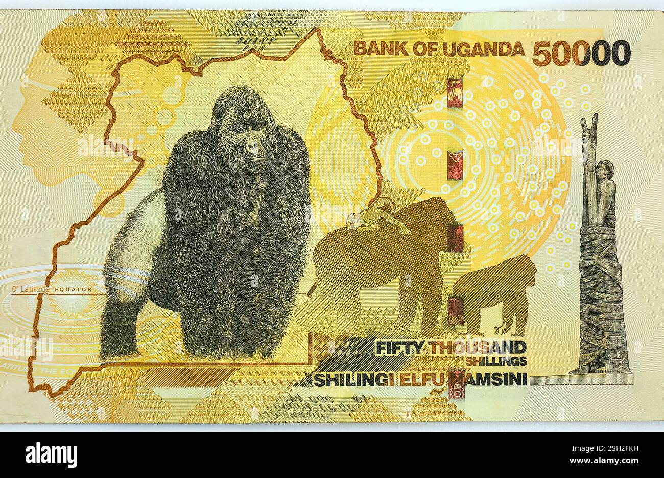 Banconota da 50 000 scellini, scellino ugandese, UGX, Uganda, Africa orientale Foto Stock