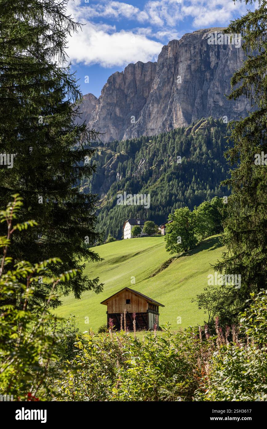Vista verticale di una tranquilla scena alpina con un capannone di legno su prati erbosi, circondato da pini e ripide scogliere di montagna sotto un cielo azzurro Foto Stock