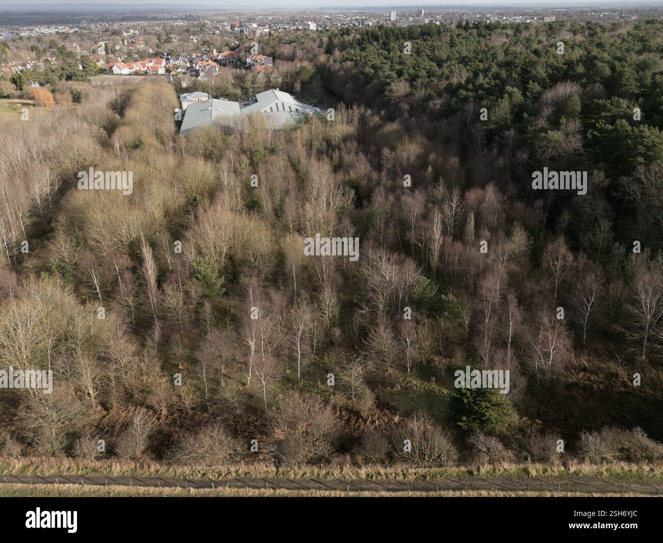 Vedute generali intorno ad Harrogate, North Yorkshire, Regno Unito. 29 gennaio 2025. Harrogate, North Yorkshire, Regno Unito. Crediti: Catturati luce Fotografia li Foto Stock