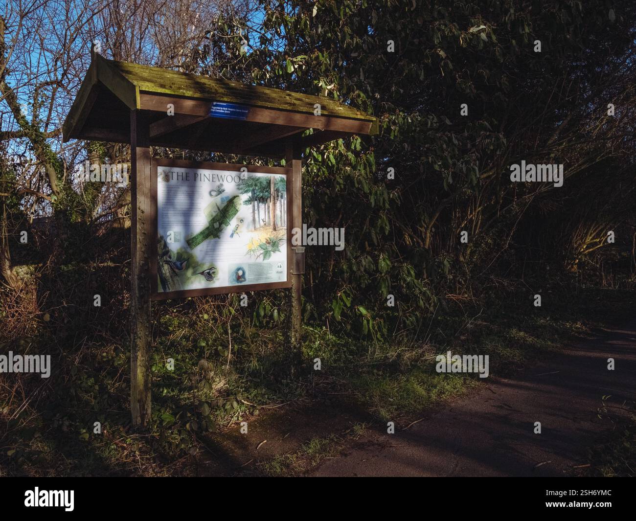 Vedute generali intorno ad Harrogate, North Yorkshire, Regno Unito. 29 gennaio 2025. Harrogate, North Yorkshire, Regno Unito. Crediti: Catturati luce Fotografia li Foto Stock