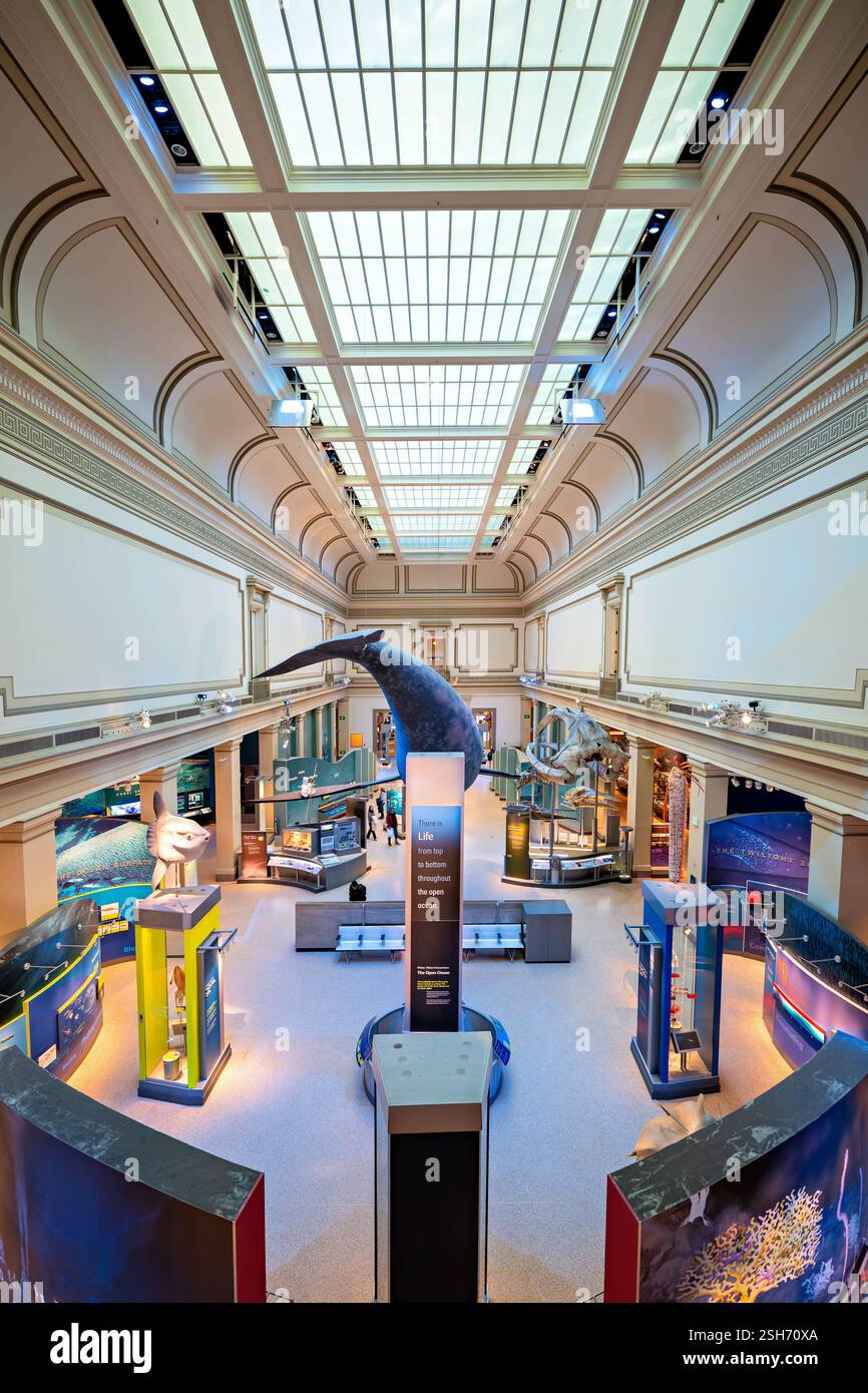 WASHINGTON DC - la Sant Ocean Hall del Museo Nazionale di storia naturale dello Smithsonian esplora gli ecosistemi marini e la scienza oceanica. Questa sala espositiva di 000 metri quadrati presenta un modello lungo 50 metri circa di balena destra del Nord Atlantico sospesa dal soffitto. La sala ospita esemplari marini, mostre interattive e mostre sulla vita e la conservazione dell'oceano. Foto Stock