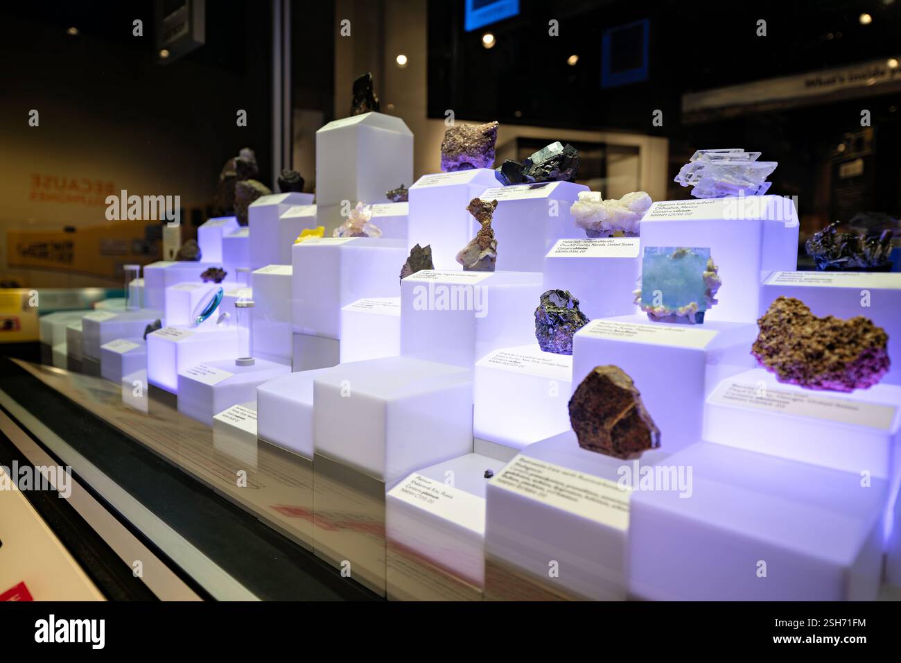 WASHINGTON DC - la mostra "connessioni invisibili" al Museo Nazionale di storia naturale dello Smithsonian esplora la relazione tra cellulari ed elementi naturali. Il display presenta oltre 750 oggetti che dimostrano come i dispositivi mobili si connettono alle materie prime della Terra. Una tavola periodica interattiva evidenzia i 65 elementi presenti nel cellulare medio, accompagnati da campioni minerali e componenti telefonici. Foto Stock