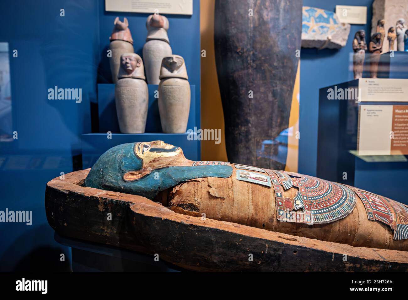 WASHINGTON DC - la mostra "la vita eterna nell'antico Egitto" presso il Museo Nazionale di storia naturale dello Smithsonian presenta più shabtis (figurine operaie) risalenti al 1298-525 a.C. Tra i pezzi più importanti vi è uno shabti della regina Henuttawy con un emblema del cobra reale e figure di Deir el-Medina. L'esposizione include una mummia in una bara di cartoncino ornata del 150 a.C.-50 d.C., decorata con simboli religiosi e una maschera dorata. Foto Stock