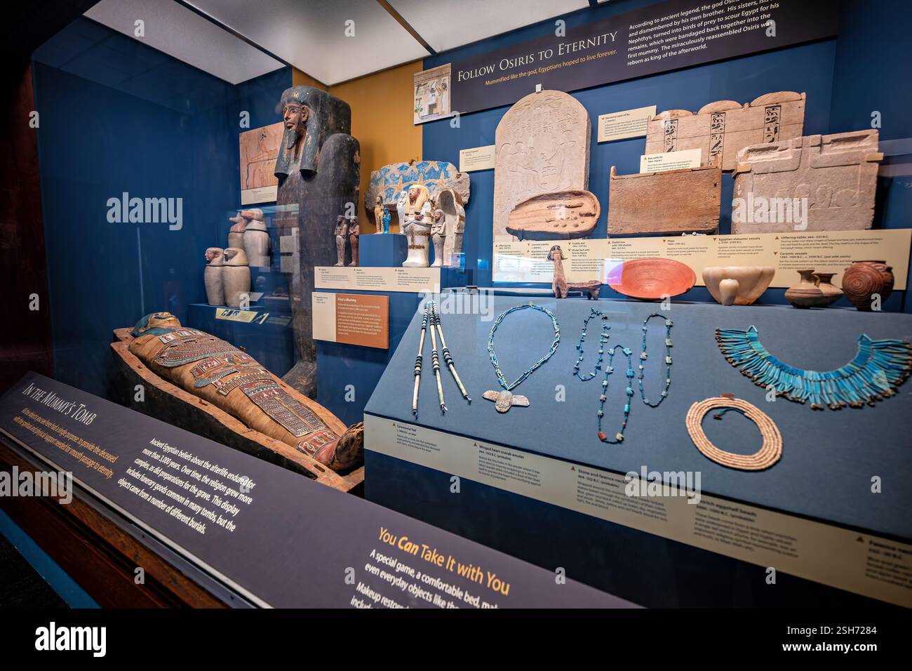 WASHINGTON DC - la mostra "la vita eterna nell'antico Egitto" presso il Museo Nazionale di storia naturale dello Smithsonian presenta più shabtis (figurine operaie) risalenti al 1298-525 a.C. Tra i pezzi più importanti vi è uno shabti della regina Henuttawy con un emblema del cobra reale e figure di Deir el-Medina. L'esposizione include una mummia in una bara di cartoncino ornata del 150 a.C.-50 d.C., decorata con simboli religiosi e una maschera dorata. Foto Stock