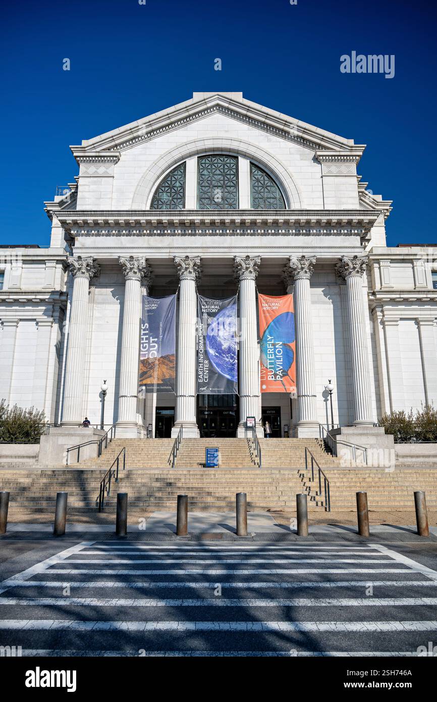 WASHINGTON DC, il grande ingresso del National Museum of Natural History si affaccia sul National Mall. L'edificio Beaux-Arts presenta un portico colonnato e ampi gradini di granito che conducono all'ingresso principale. Completata nel 1910, la facciata del museo esemplifica l'architettura istituzionale americana dell'inizio del XX secolo. Foto Stock