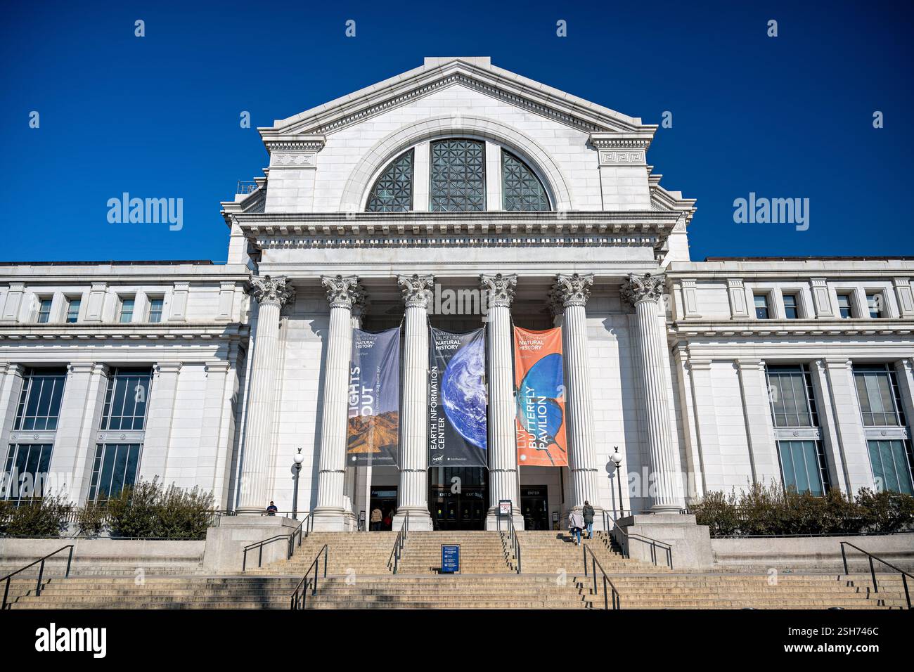 WASHINGTON DC, il grande ingresso del National Museum of Natural History si affaccia sul National Mall. L'edificio Beaux-Arts presenta un portico colonnato e ampi gradini di granito che conducono all'ingresso principale. Completata nel 1910, la facciata del museo esemplifica l'architettura istituzionale americana dell'inizio del XX secolo. Foto Stock