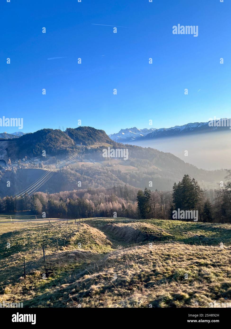 Paesaggio svizzero con colline ondulate, alberi e alpi innevate sullo sfondo. Preso in una giornata di sole con un cielo limpido e blu nebbia. Foto Stock