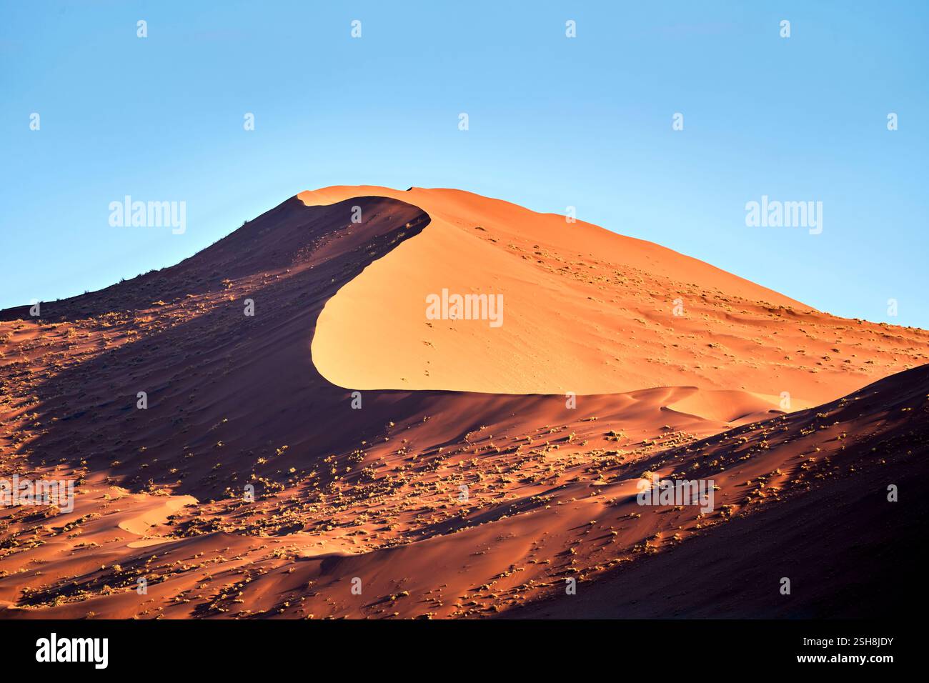 Dune di Sossusvlei al sole del mattino che formano belle forme con sfumature, Namibia, Africa. Foto Stock