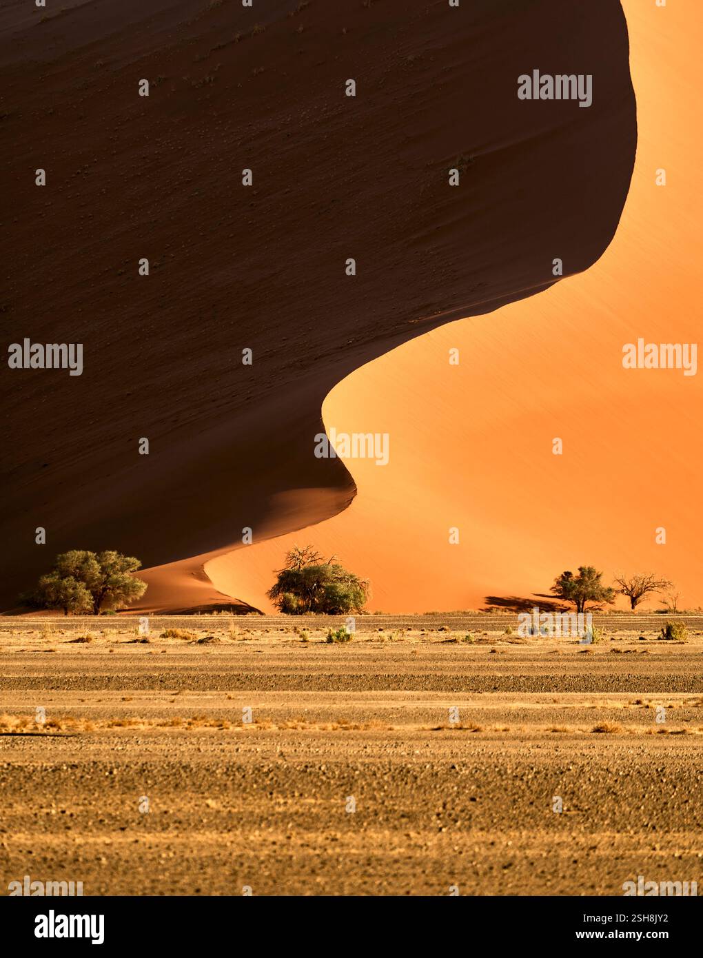 Dune di Sossusvlei al sole del mattino che formano belle forme con sfumature, Namibia, Africa. Foto Stock
