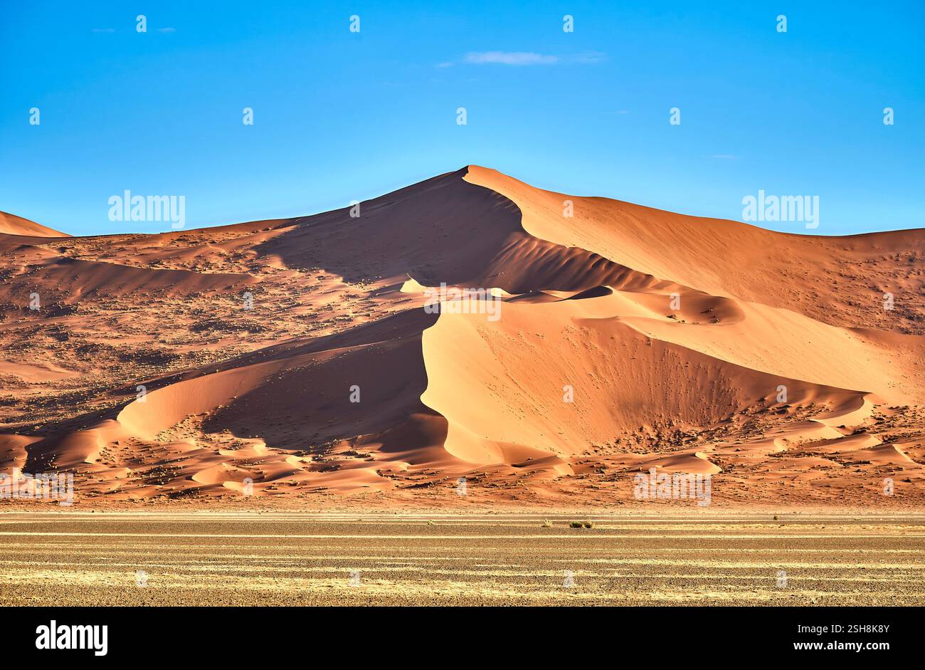 Dune di Sossusvlei al sole del mattino che formano belle forme con sfumature, Namibia, Africa. Foto Stock