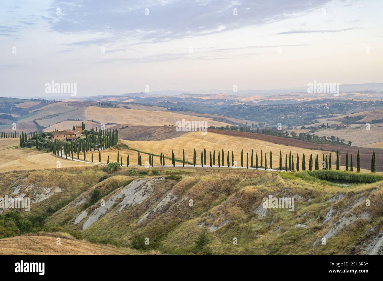 Tipico paesaggio toscano nelle Crete Senesi con colline, alberi, campi, cipressi e strada agricola in autunno, alba, Agriturismo Baccoleno, Unesco World He Foto Stock Tipico paesaggio toscano nelle Crete Senesi con colline, alberi, campi, cipressi e strada agricola in autunno, alba, Agriturismo Baccoleno, Unesco World He Foto Stock