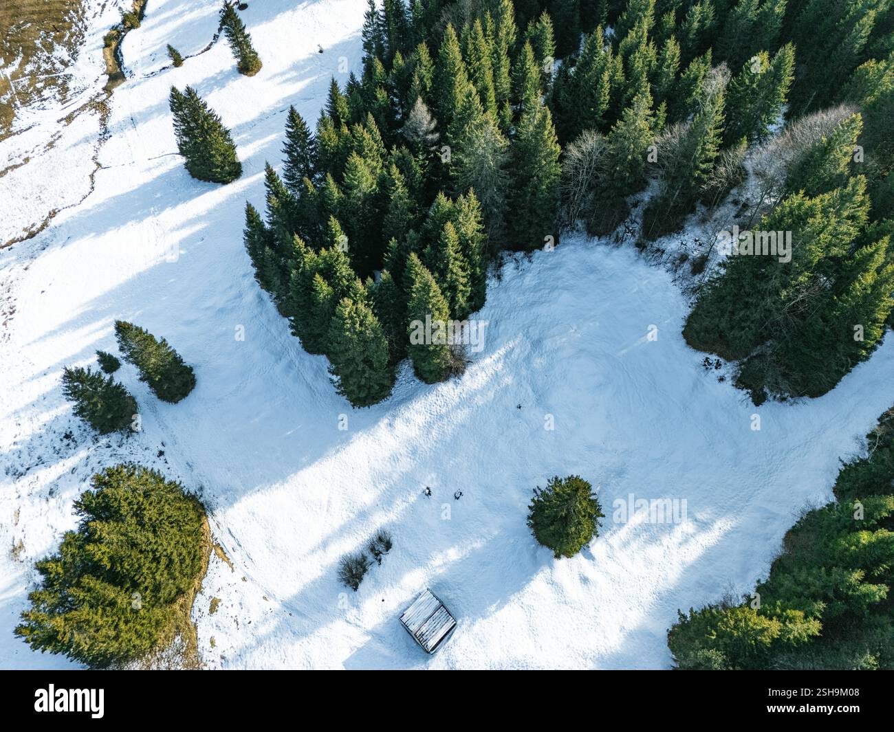 Vista dal drone su alberi di conifere, cottage e neve sulle montagne delle Alpi Foto Stock