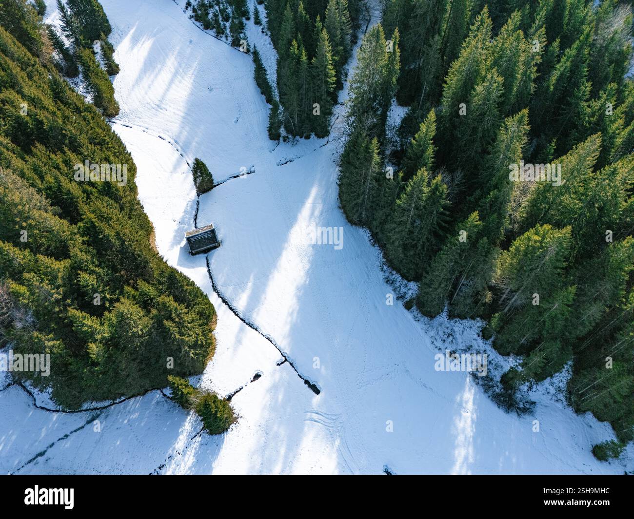 Vista dal drone su alberi di conifere, cottage e neve sulle montagne delle Alpi Foto Stock