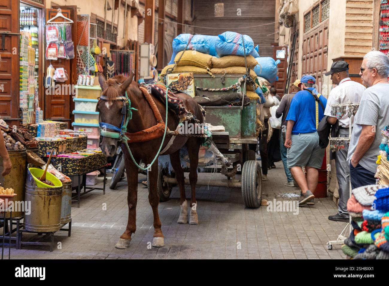 Carrozza trainata da cavalli, souk della vita di strada della Medina di Marrakech, turisti e gente del posto che camminano attraverso il suk di spezie, artigianato, tappeti e abbigliamento tradizionale. Foto Stock