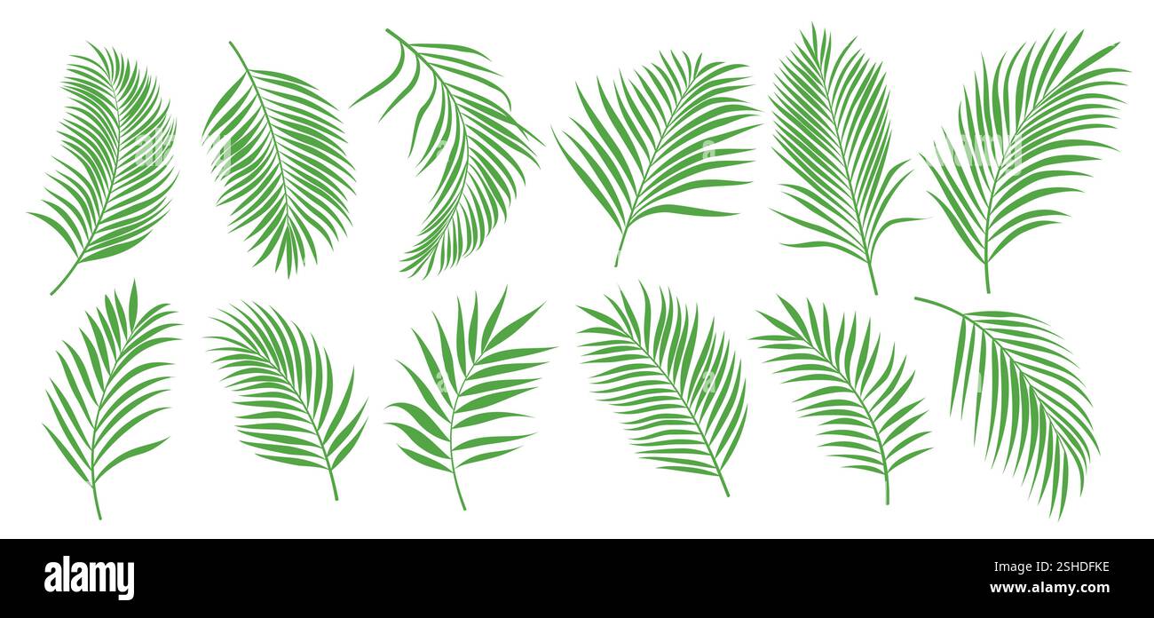 Palm Leaves Tropical Clipart Set. Clip art da disegno a foglie verdi di cocco palme per elementi grafici estivi illustrazione vettoriale. Illustrazione Vettoriale