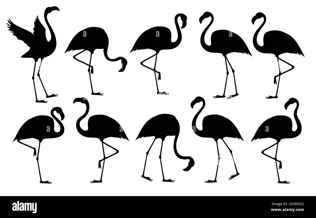 Set di clip per disegno silhouette Flamingo. Collezione estiva di clip art con icone di uccello flamingo per logo e illustrazioni vettoriali con elementi tropicali. Illustrazione Vettoriale