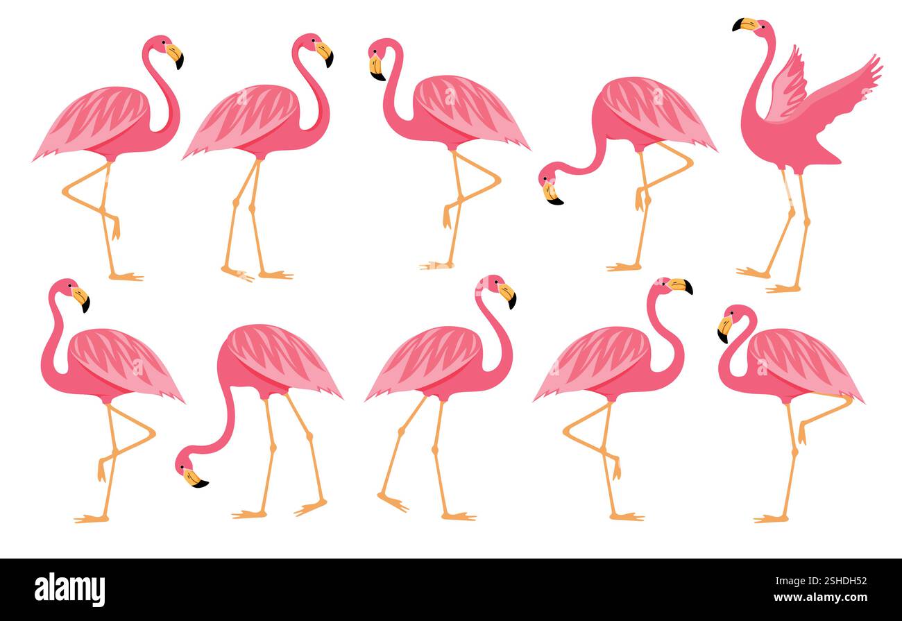 Set di ritagli da disegno rosa Flamingo. Collezione estiva di clip artistiche flamingo, graziosi elementi tropicali, illustrazione vettoriale. Illustrazione Vettoriale