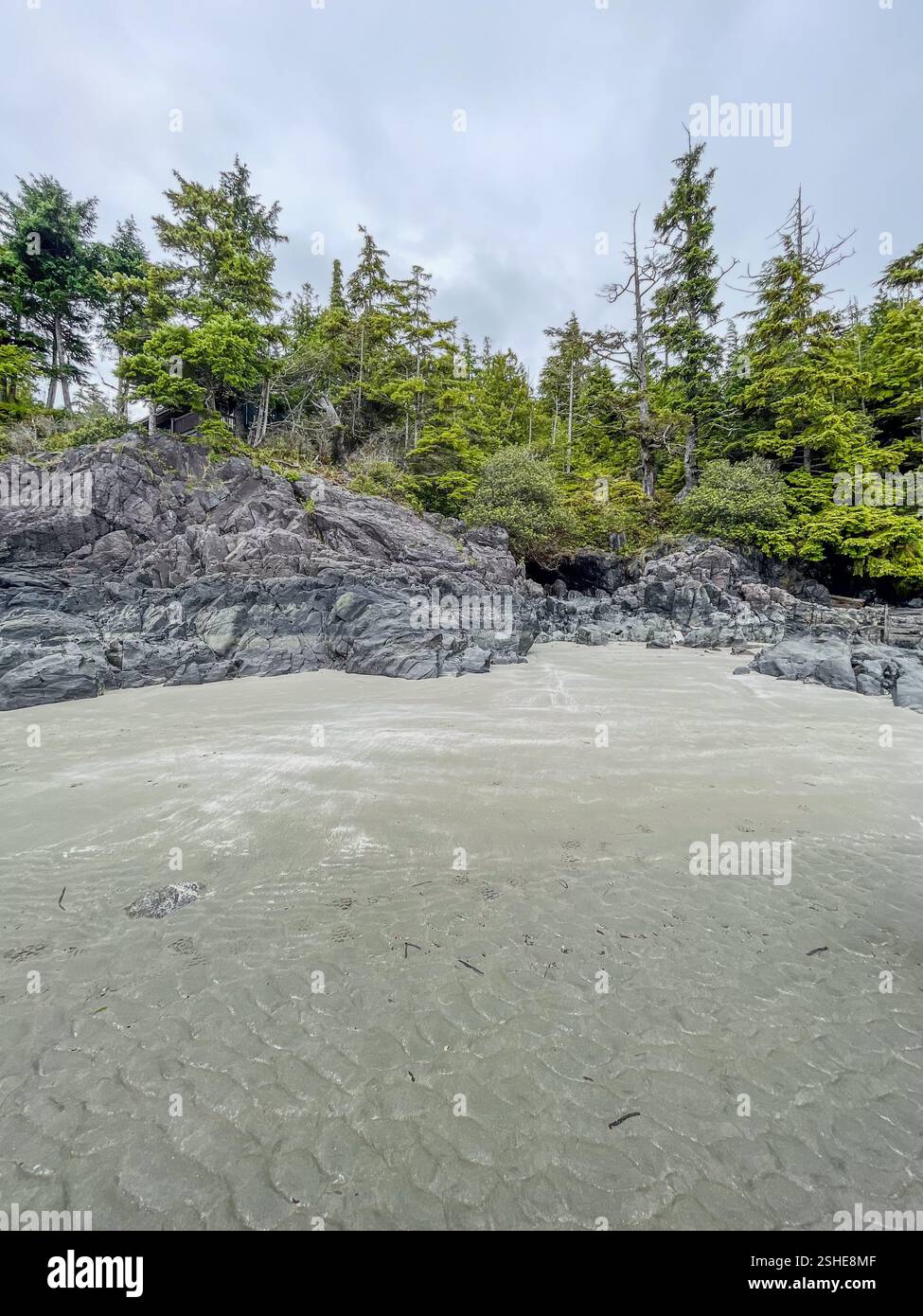Una combinazione panoramica di spiaggia rocciosa e fitta foresta sempreverde, ideale per avventure, ecoturismo e temi fotografici naturalistici. - Immagine stock catturata con smartphone