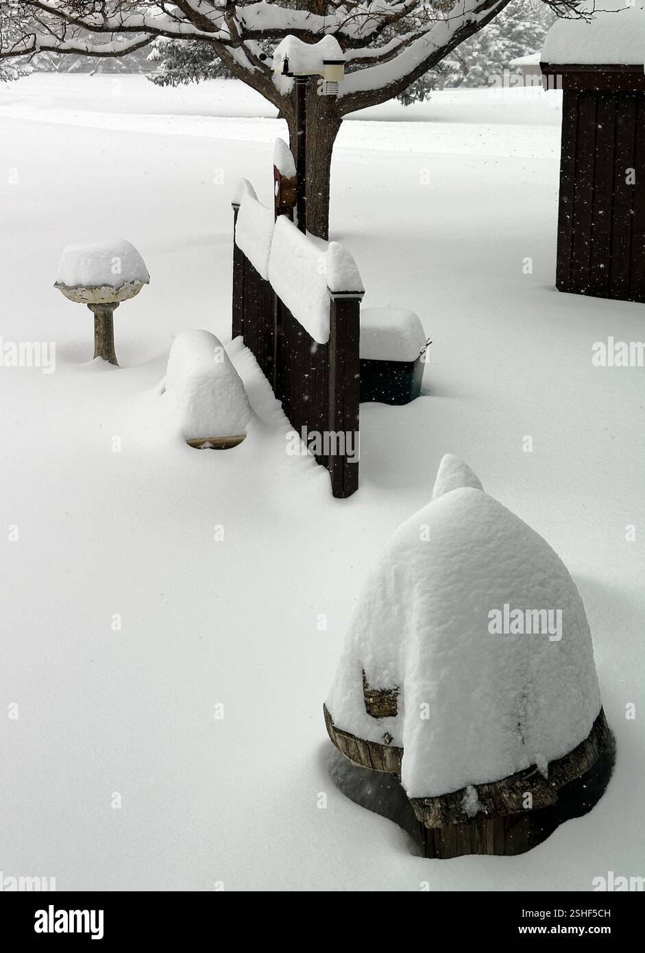 I cespugli di pino ricoperti di neve in primo piano indicano la strada per la cassetta postale in mattoni rossi. La spessa copertura della neve crea cespugli e alberi cedeggiano. Al centro c'è spazio di testo nella neve. Foto Stock
