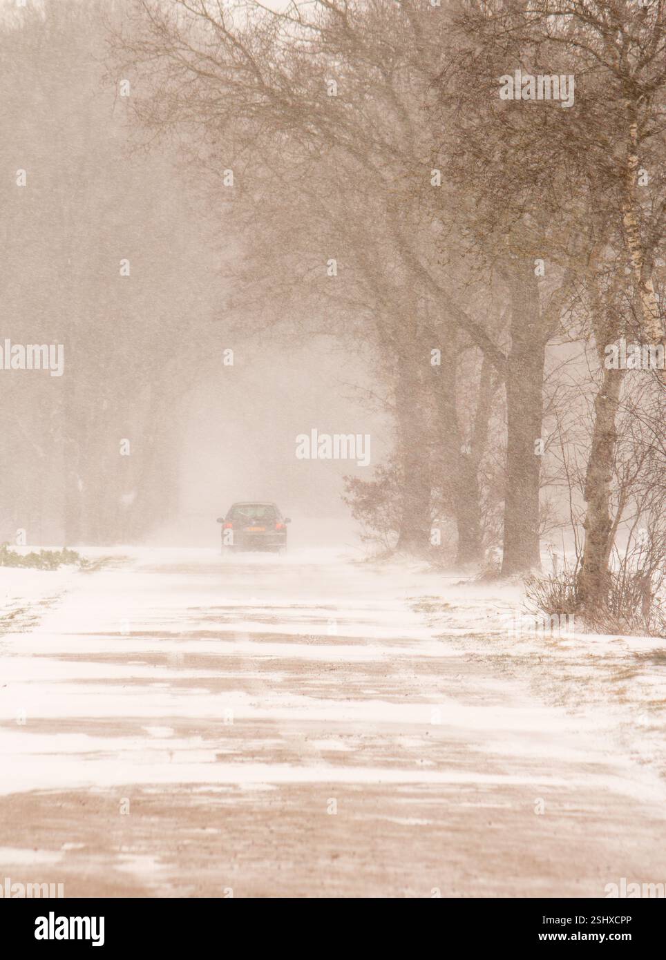 Strada invernale che conduce in una foresta con un'auto lontana che attraversa la neve Foto Stock