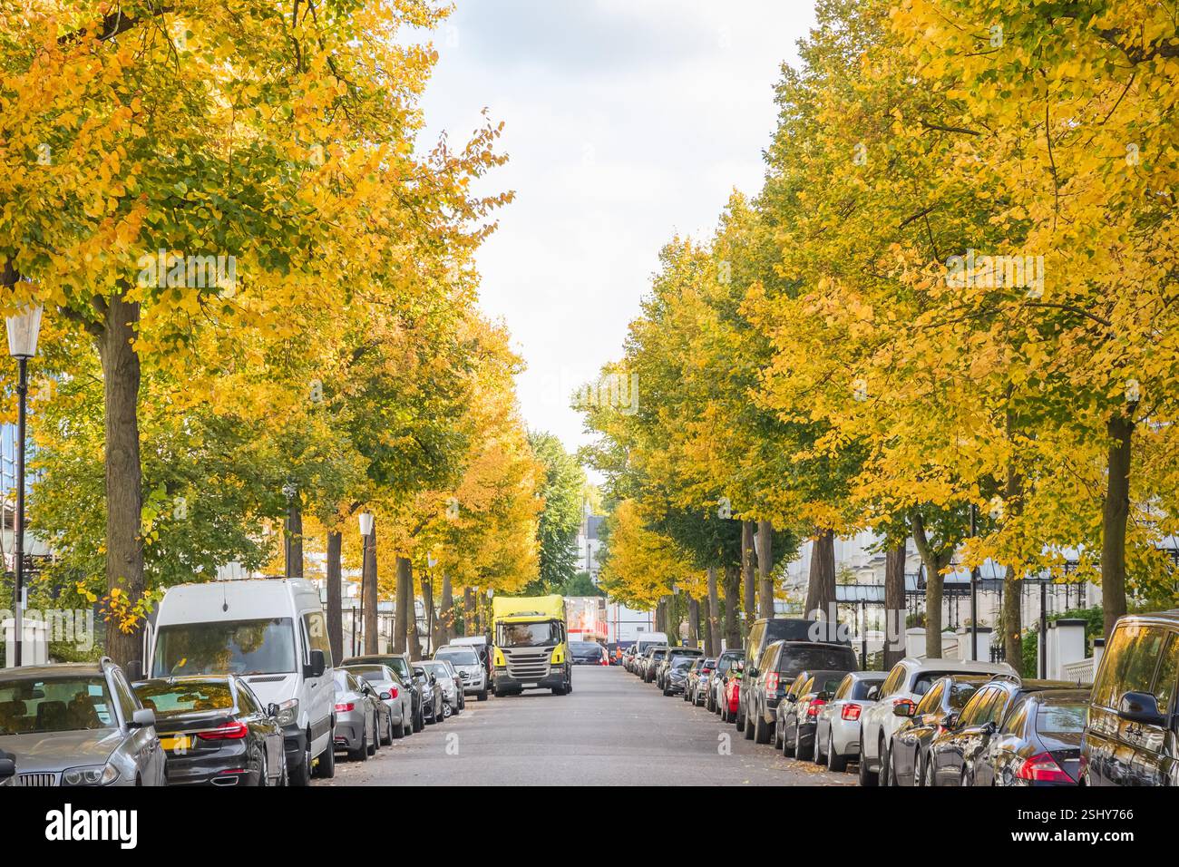 Strada di Londra fiancheggiata da auto parcheggiate e alberi colorati d'autunno intorno a Kensington Foto Stock