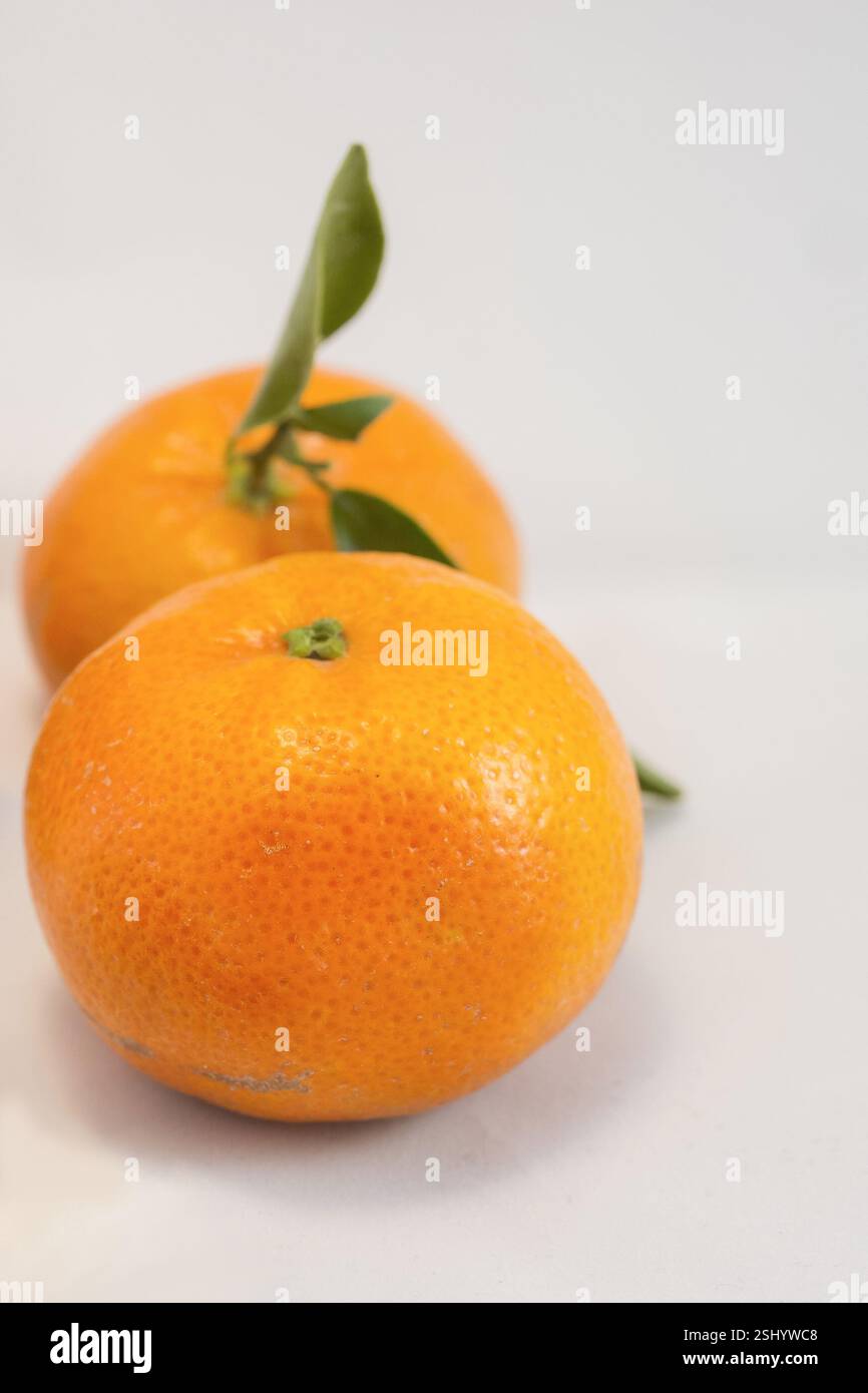 Mandarini Clementine con foglie verdi da vicino. Foto Stock