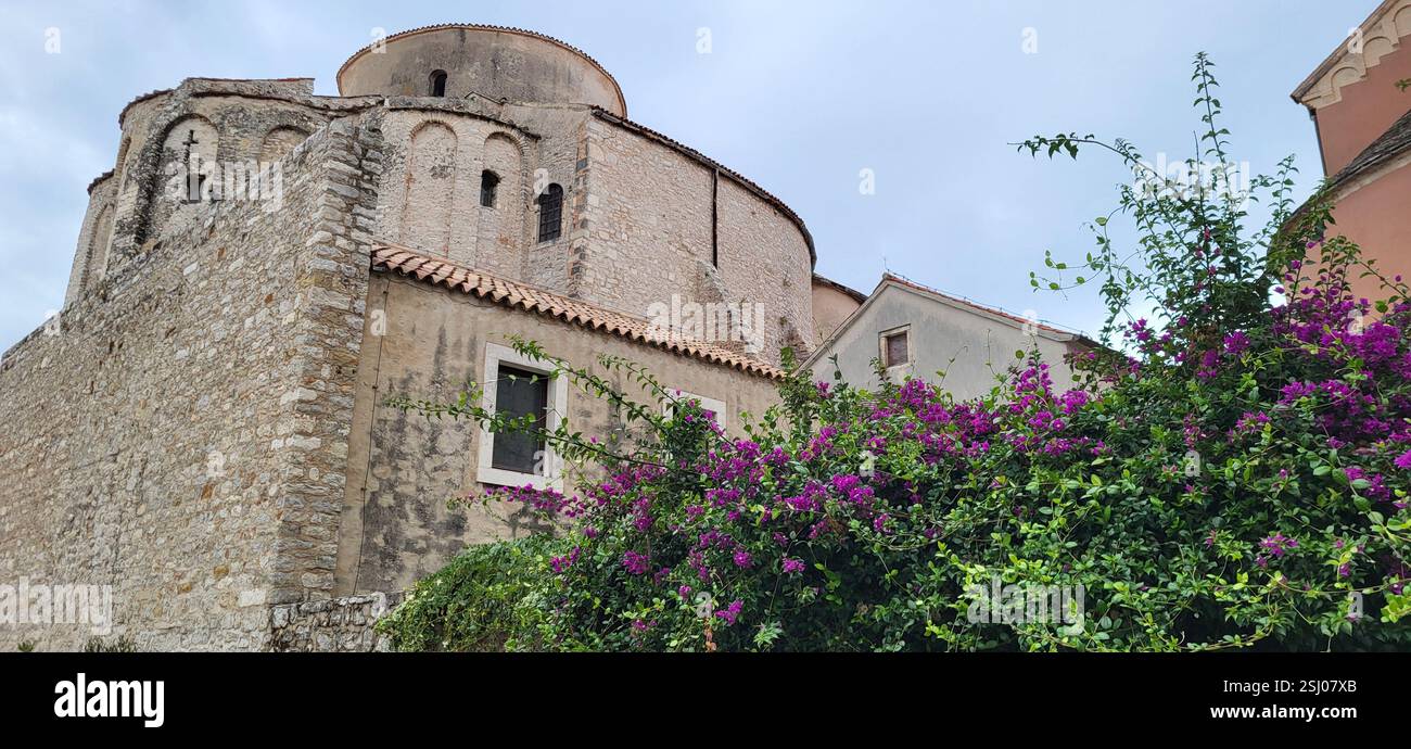 L'iconica Chiesa di San Donato, una chiesa pre-romanica del IX secolo a Zara, Croazia. - Immagine stock catturata con smartphone