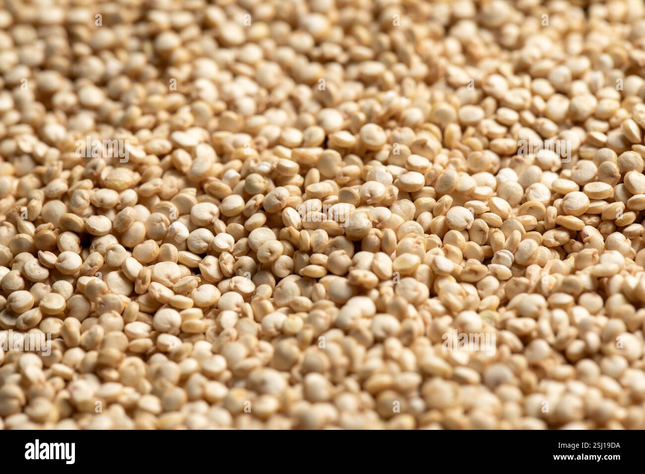 Macrofotografia di chicchi di quinoa crudi Foto Stock