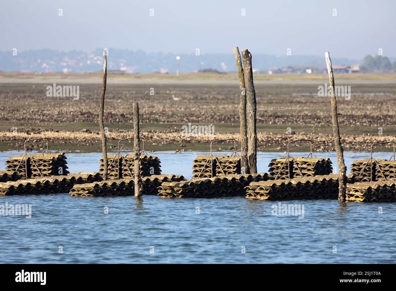 Allevamento di ostriche nella baia di Arcachon, Arcachon, dipartimento della Gironda, Nouvelle-Aquitaine, Francia, Europa Foto Stock
