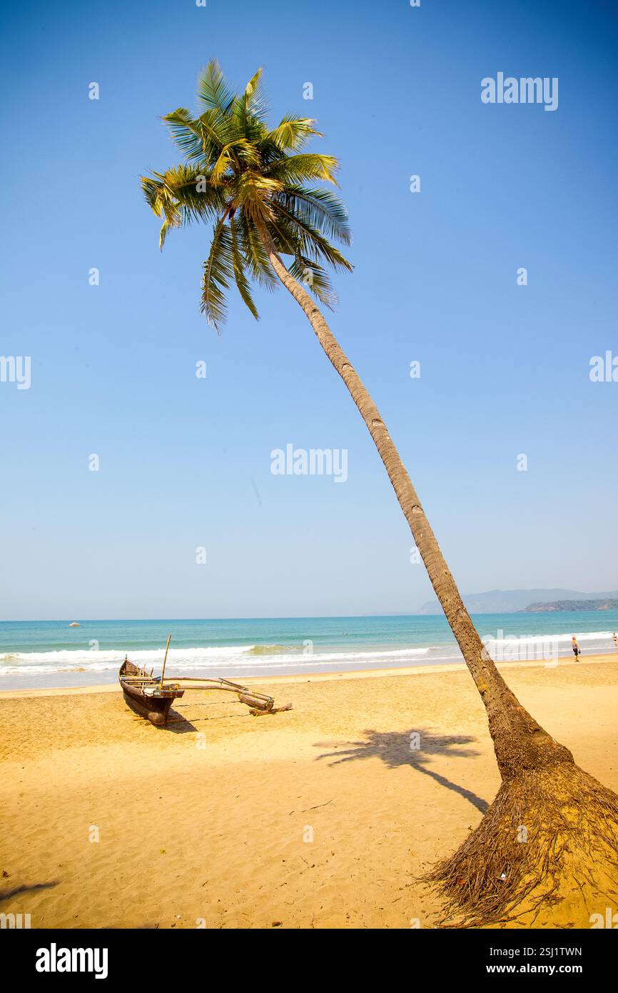 Palme e barche dei pescatori sulle sabbie dorate della spiaggia di Agonda a Goa, India Foto Stock