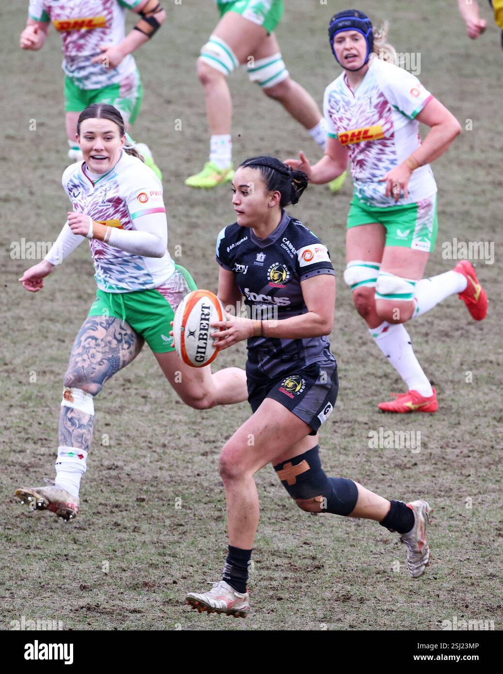 Sandy Park, Exeter, Devon, Regno Unito. 2 febbraio 2025. PWR: Exeter Chiefs vs Harlequins. Crediti: Nidpor/Alamy Live News Foto Stock