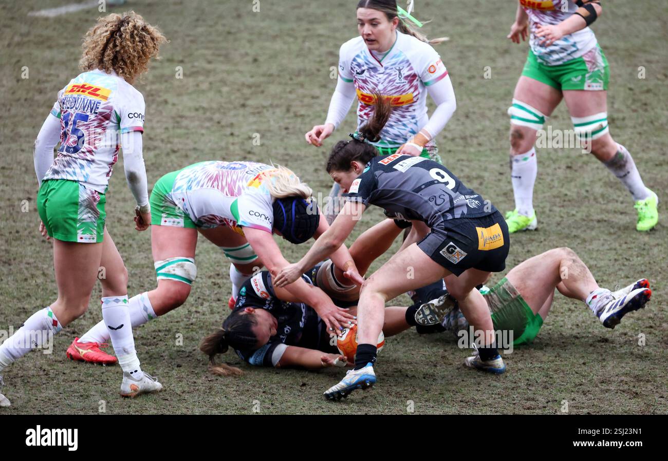 Sandy Park, Exeter, Devon, Regno Unito. 2 febbraio 2025. PWR: Exeter Chiefs vs Harlequins. Crediti: Nidpor/Alamy Live News Foto Stock