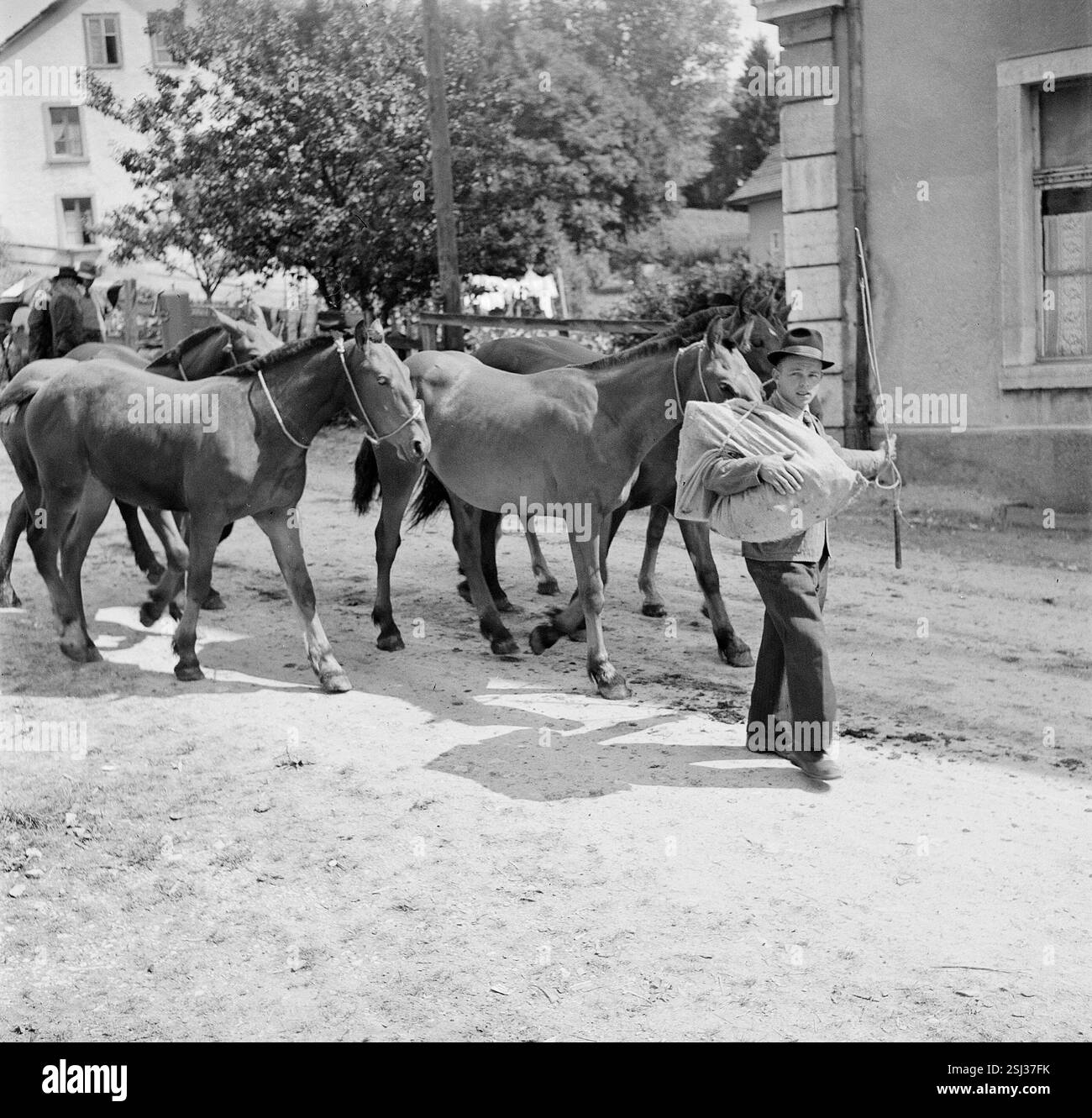 --- Pferdemarkt von Chaindon-Reconvilier, Pferdezüchter, 1941#mercato dei cavalli di Chaindon-Reconvilier, allevatore di cavalli, 1941 Foto Stock