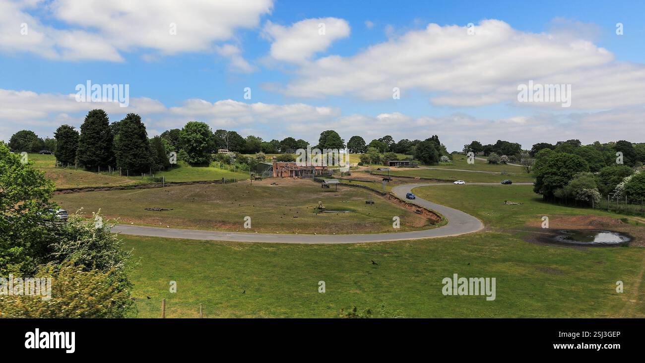 Vista del West Midlands Safari Park da un treno della Severn Valley Railway, Bewdley, Worcestershire, Inghilterra, Regno Unito Foto Stock