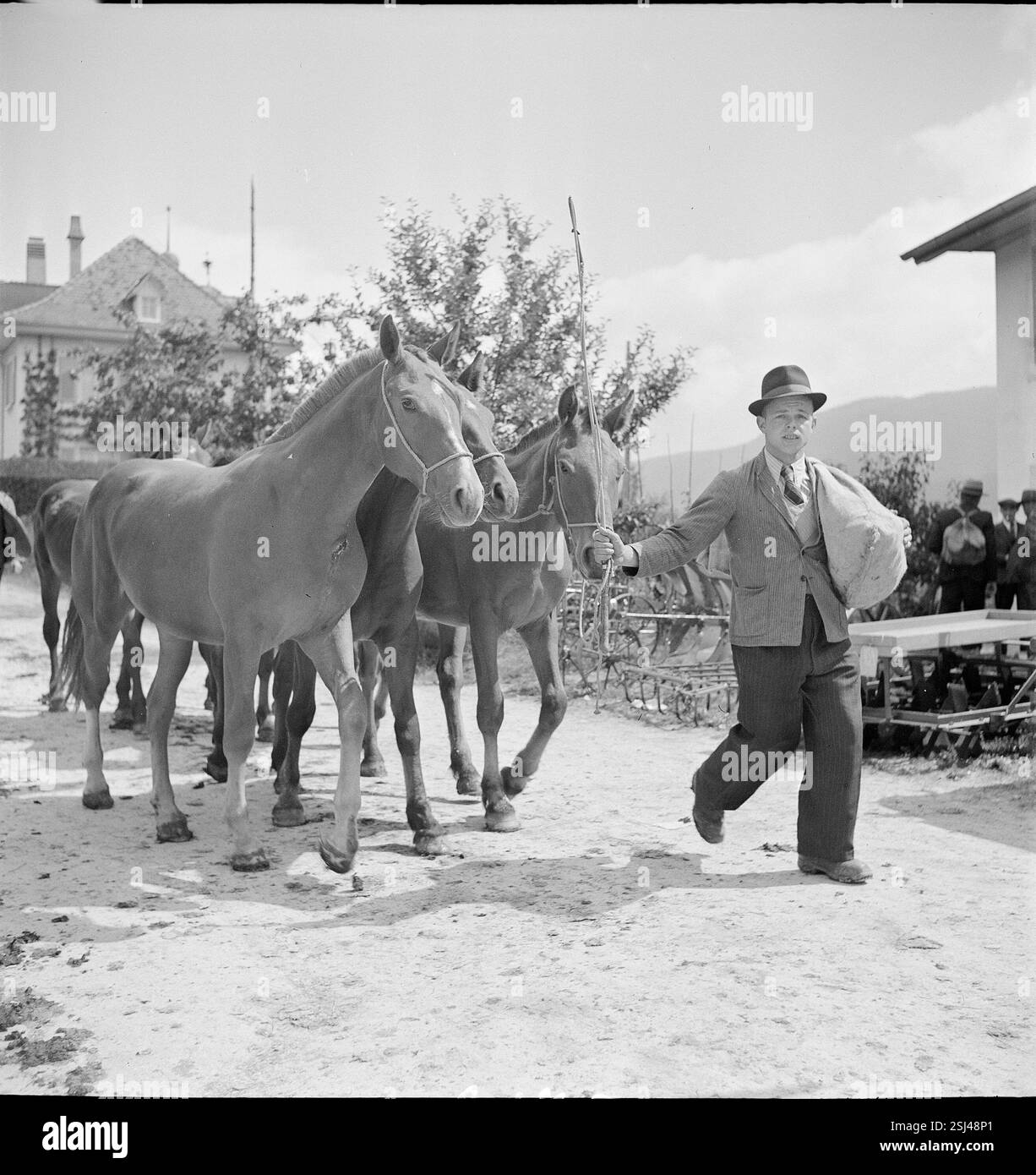 --- Pferdemarkt von Chaindon-Reconvilier, Pferdezüchter, 1941#mercato dei cavalli di Chaindon-Reconvilier, allevatore di cavalli, 1941 Foto Stock