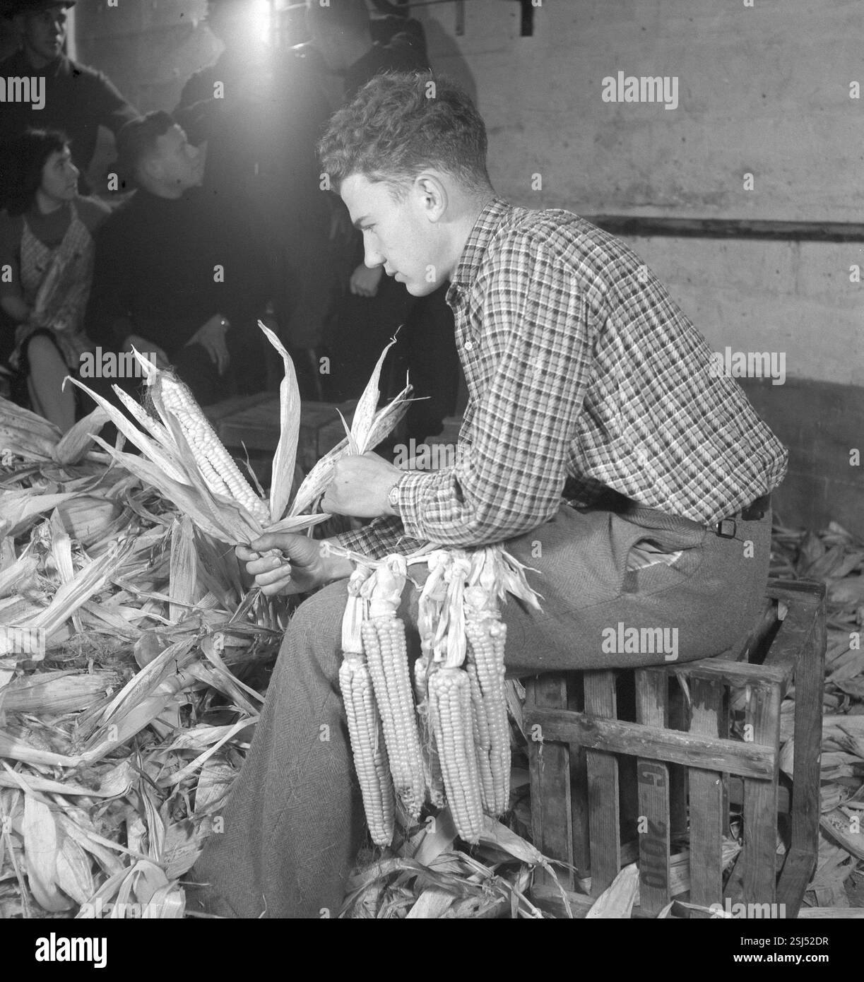 --- Maisaktion; Hilfsaktion; um 1941#Corn; programma di soccorso; circa 1941- RDB DI DUKAS Foto Stock
